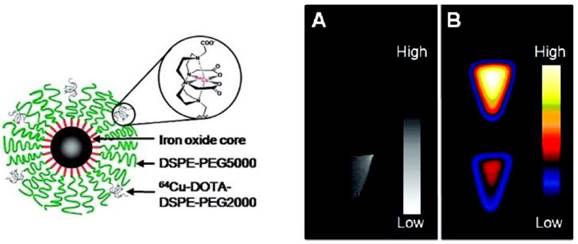 Theranostics Image