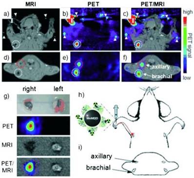 Theranostics Image