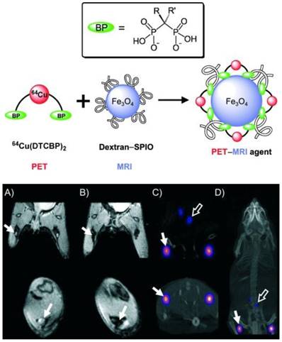 Theranostics Image