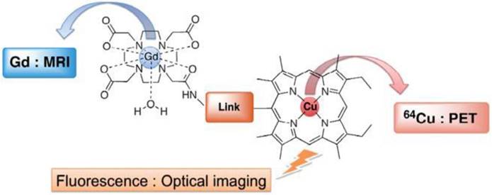 Theranostics Image