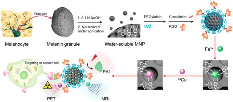 Theranostics Image