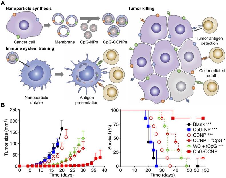 Theranostics Image