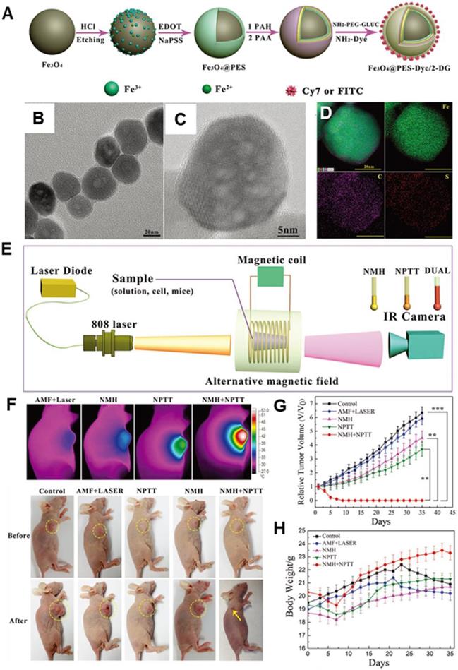 Theranostics Image