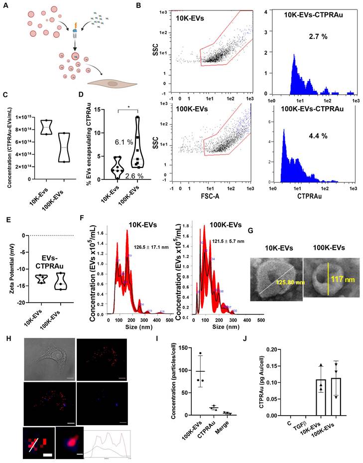 Theranostics Image