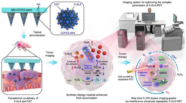 Theranostics Image