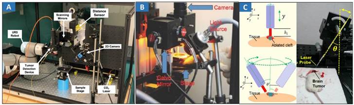 Theranostics Image