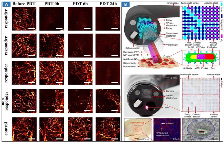 Theranostics Image