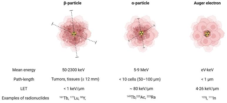 Theranostics Image