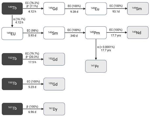 Theranostics Image