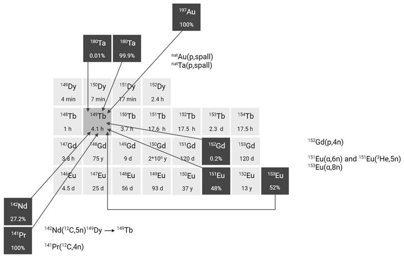 Theranostics Image