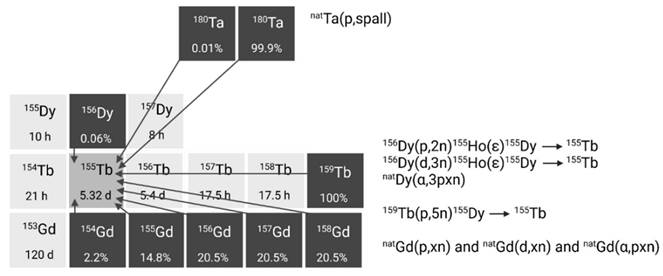 Theranostics Image