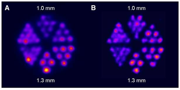 Theranostics Image