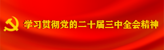 学习贯彻党的二十届三中全会精神