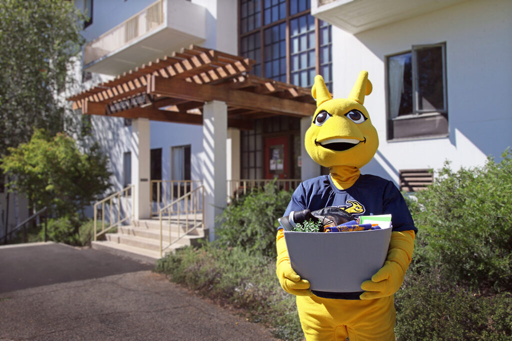 Mascot holding a box as if they are moving into one of the colleges.