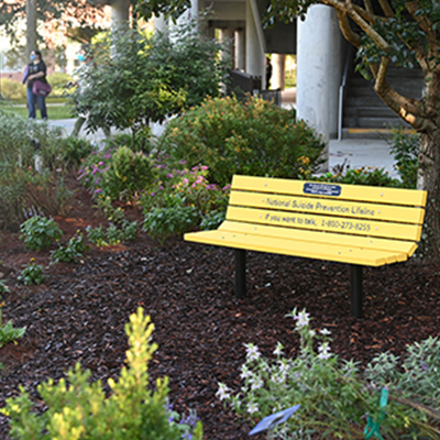 Yellow suicide prevention dedication bench in the Healing Garden surrounded by flowers