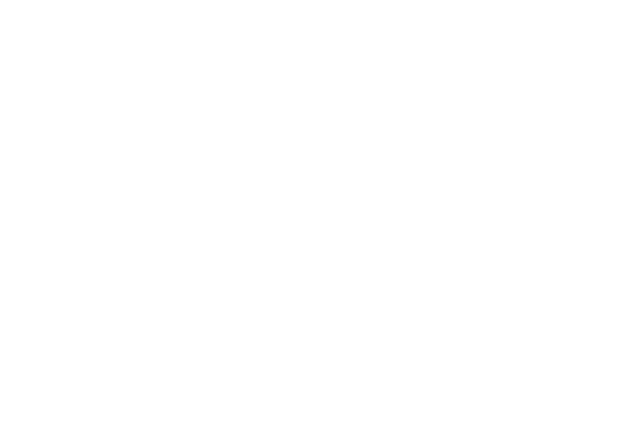 Sapienza Foundation