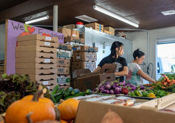 Woman shopping for produce in crates located at Food Shed Inc. and an employee restocking