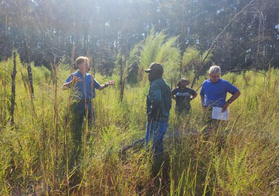 A group of people talking in front of a forest