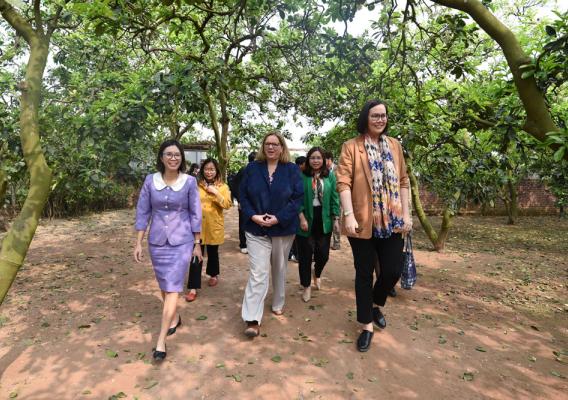 A group of women walk through a grove in Vietnam