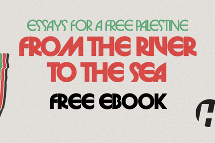 From the River to the Sea: Essays for a Free Palestine