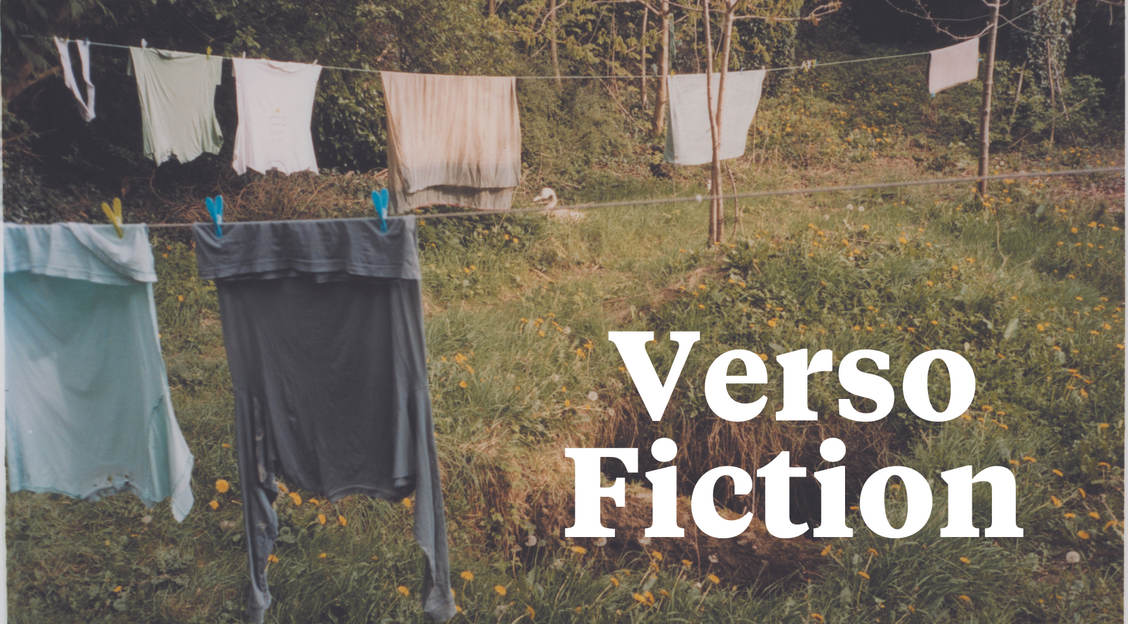 Verso Summer Fiction