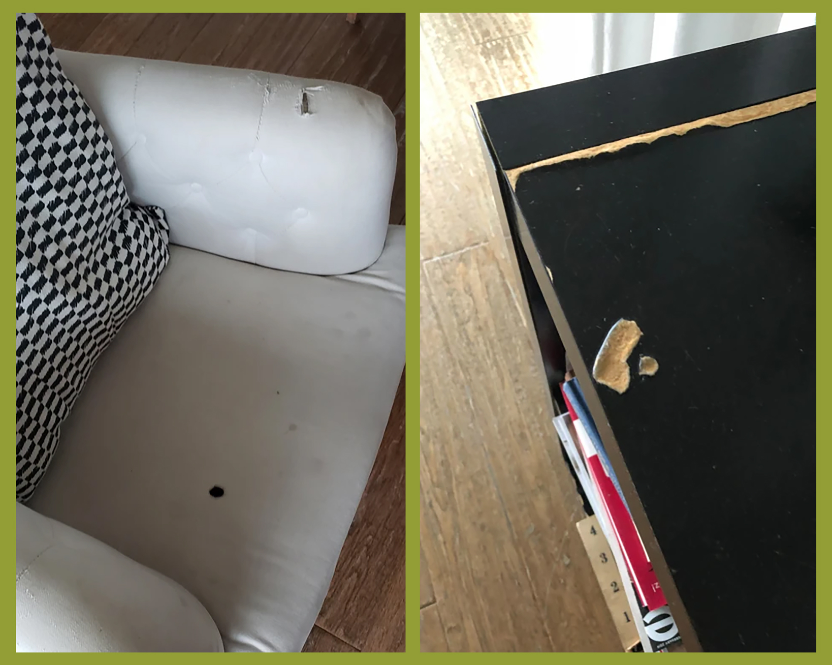 1572358655264-Screen-Shot-2019-10-24-at-25334-PM