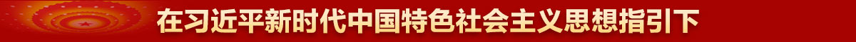 在习近平新时代中国特色社会主义思想指引下 