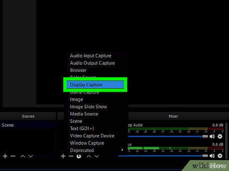 Step 3 Click Display Capture.