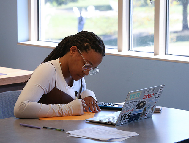 A student working on a laptop