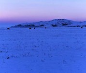 相约去乌苏大峡谷看雪