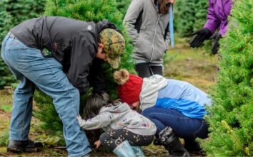 A group of people planting trees