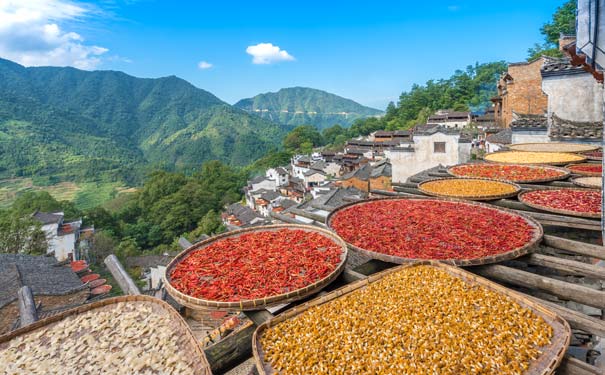 重庆到安徽旅游_江西庐山/婺源/景德镇/黄山动车6日游[纯玩夕阳红]<黄山+江西夕阳红旅游，全程0购物，含1晚庐山景区内住宿，游婺源篁岭晒秋+庐山秋色+黄山秋景+宏村！>