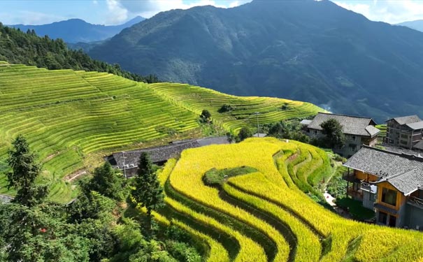 [龙脊梯田]广西桂林阳朔双动5天旅游[0自费0购物]