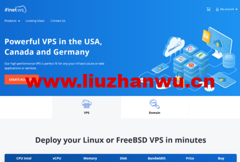 INET.WS：美国便宜vps，新增阿什本和达拉斯数据中心，$2/月起，另可选西雅图/凤凰城/芝加哥等11机房-主机之家测评