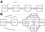 Thumbnail of Conceptual diagrams illustrating Ebola SEIR and SEIHFR models of historical Ebola virus outbreaks. SEIR, susceptible-exposed-infectious-removed; SEIHFR, susceptible-exposed-infectious-hospitalized-funeral-removed.