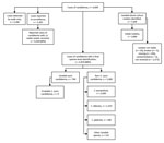 Thumbnail of Flowchart showing numbers of candidemia cases detected by national surveillance and Candida species identified, South Africa, 2016–2017.