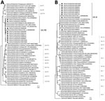 Phylogenetic analysis of the complete nucleotide sequences of noroviruses identified in Thailand, 2018–2023 (black dots), and reference sequences. A) RNA-dependent RNA polymerase (RdRp) region; B) major capsid protein (VP1) region. Trees were generated using the maximum-likelihood method based on the general time reversible model, with 1,000 bootstrap replications for branch support as implemented in MEGA software version 11 (http://www.megasoftware.net). Bootstrap values 