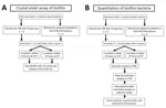 Overview of procedural steps taken to evaluate monomicrobial and polymicrobial biofilms grown on platelet bag coupons in different media (apheresis platelets vs. TSB–glucose) and at 22°C vs. 35°C. A) Study methodology for measuring biofilm production through crystal violet assay. B) Methods for determining CFU per coupon and comparative species composition of polymicrobial biofilms. CV, crystal violet; OD, optical density; PAS, platelet additive solution; RT, room temperature; TSA, tryptic soy agar; TSB, tryptic soy broth.