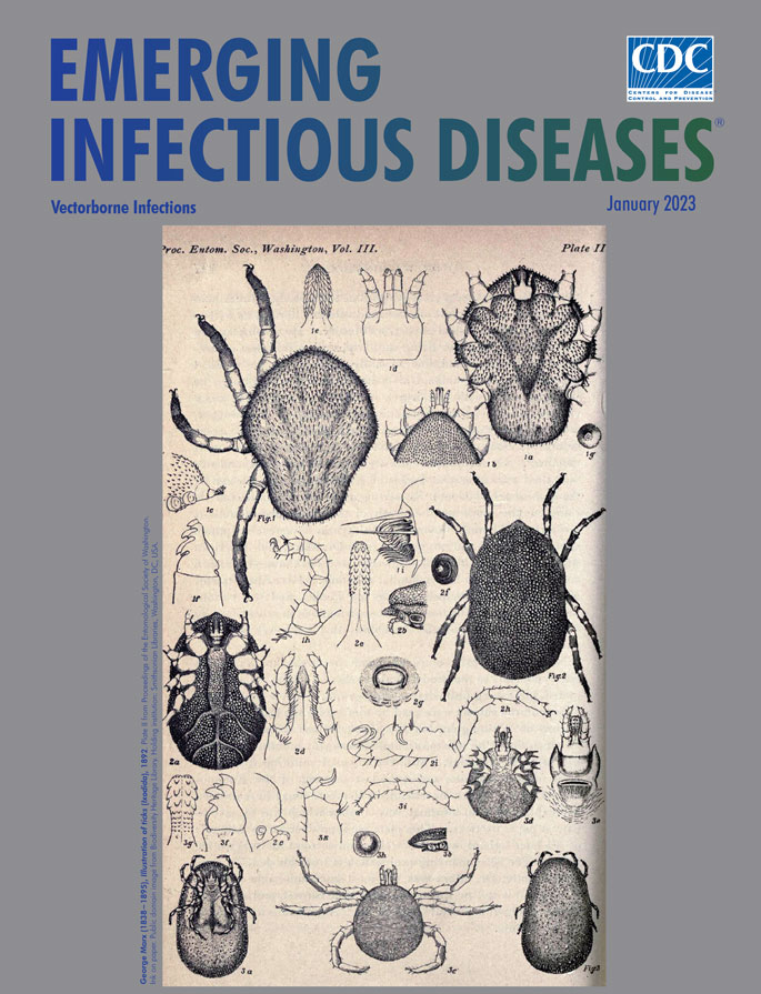 George Marx (1838−1895), Illustration of ticks (Ixodida), 1892. Plate II from Proceedings of the Entomological Society of Washington. Ink on paper. Public domain image from Biodiversity Heritage Library. Holding institution: Smithsonian Libraries, Washington, DC, USA.