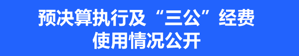 三公经费.png