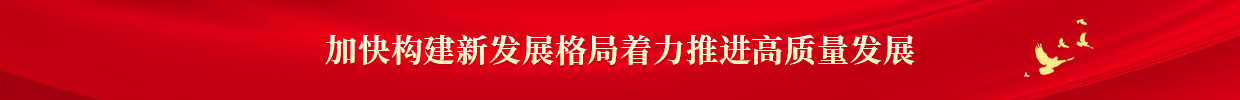 加快构建新发展格局着力推进高质量发展