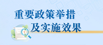 重要政策举措及实施效果