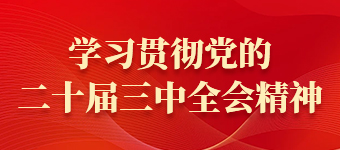 学习贯彻党的二十届三中全会精神