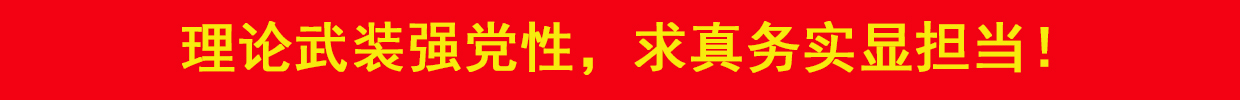 理论武装强党性，求真务实显担当