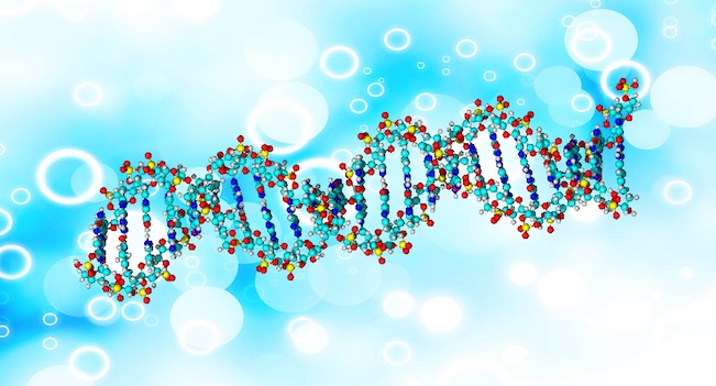 "Molecular Data Analysis"